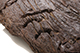 FileNo.186-697.jpg