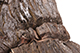 FileNo.186-698.jpg