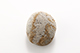 FileNo.186-800.jpg