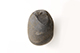 FileNo.186-812.jpg