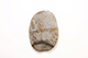 FileNo.186-830.jpg