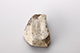 FileNo.186-853.jpg