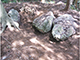 FileNo.188-010.jpg