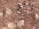 FileNo.188-054.jpg