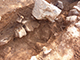 FileNo.188-059.jpg