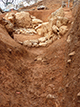 FileNo.188-075.jpg
