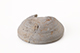 FileNo.188-137.jpg