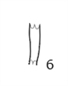 図版 188E006.png