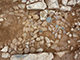 FileNo.188-093.jpg