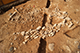 FileNo.188-105.jpg