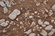FileNo.188-110.jpg