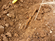 FileNo.188-111.jpg