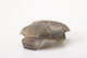 FileNo.188-154.jpg