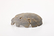 FileNo.188-155.jpg