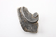 FileNo.188-216.jpg