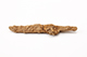 FileNo.188-221.jpg