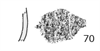 図版 188E070.png