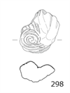 図版 188E298.png
