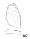 図版 188E307.png
