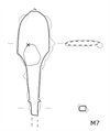 図版 188M07.png