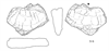 図版 188S06.png