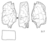 図版 188S07.png