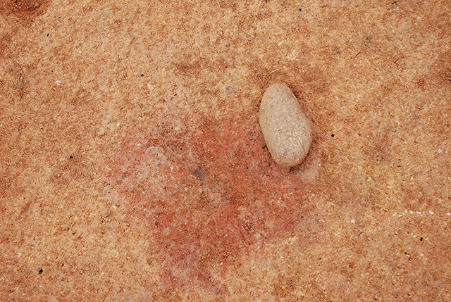FileNo.189-091.jpg