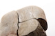 FileNo.189-1006.jpg