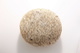 FileNo.189-1012.jpg