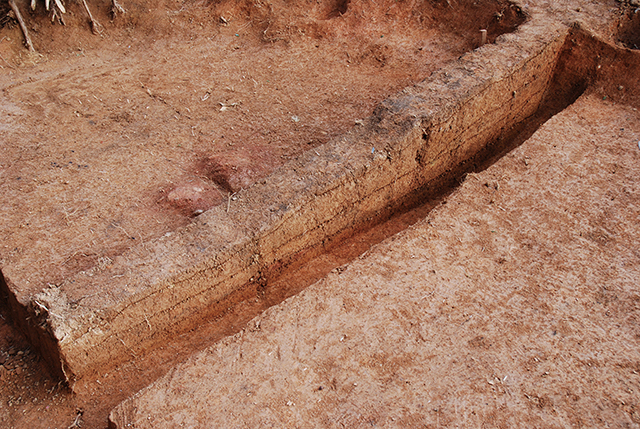 FileNo.189-116.jpg