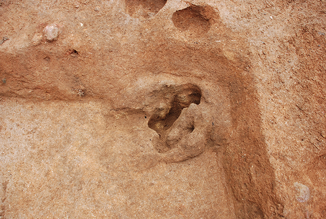 FileNo.189-229.jpg