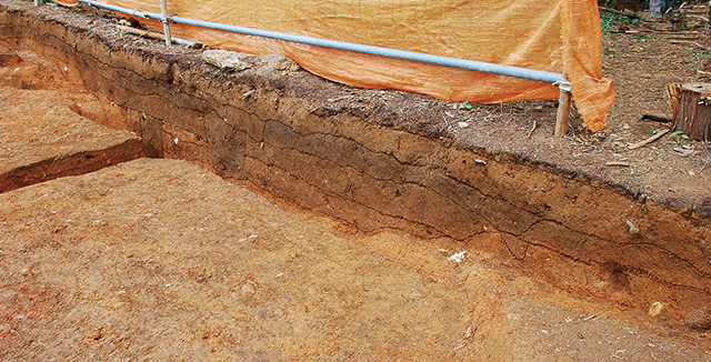 FileNo.189-292.jpg