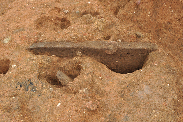 FileNo.189-309.jpg