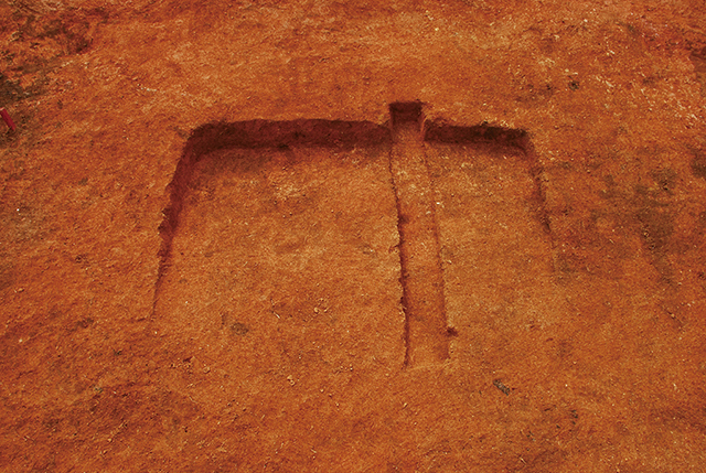 FileNo.189-409.jpg