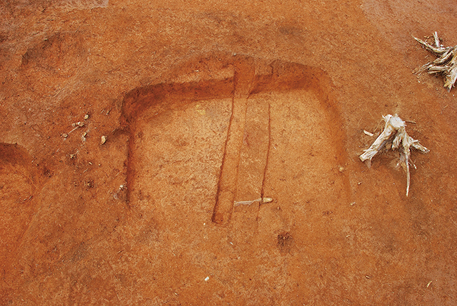 FileNo.189-414.jpg