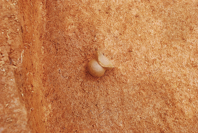 FileNo.189-415.jpg