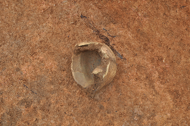 FileNo.189-417.jpg
