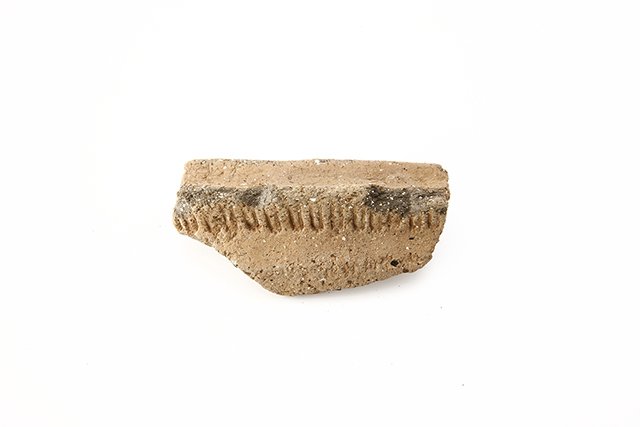 FileNo.189-465.jpg