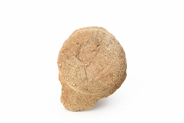 FileNo.189-481.jpg