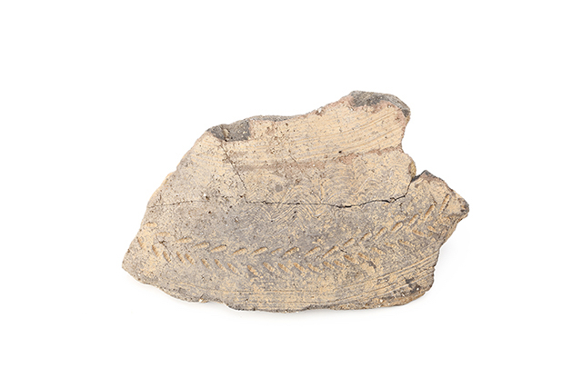 FileNo.189-487.jpg