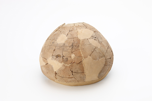 FileNo.189-498.jpg