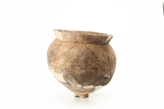 FileNo.189-500.jpg