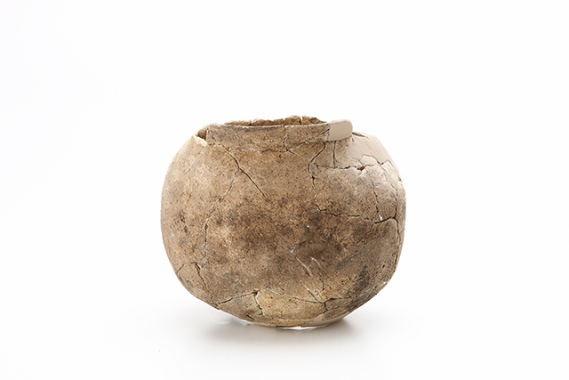 FileNo.189-501.jpg
