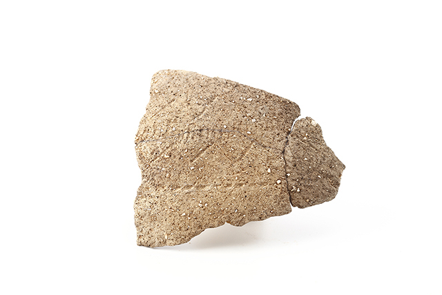 FileNo.189-551.jpg