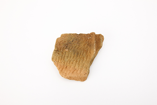 FileNo.189-583.jpg