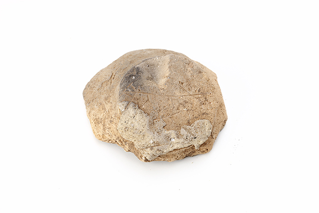 FileNo.189-616.jpg