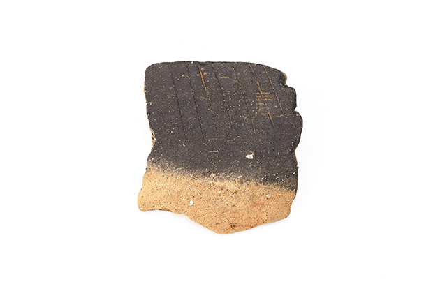 FileNo.189-720.jpg
