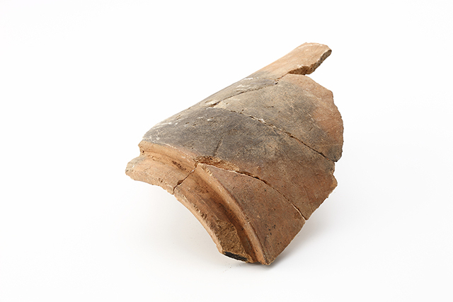 FileNo.189-730.jpg