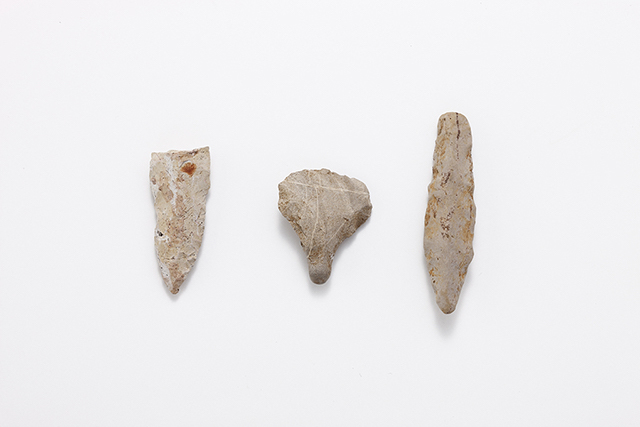 FileNo.189-736.jpg