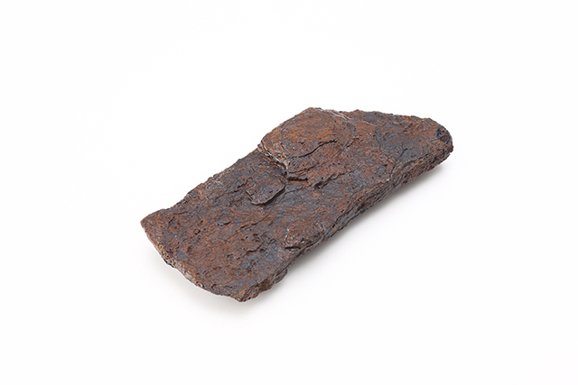 FileNo.189-798.jpg